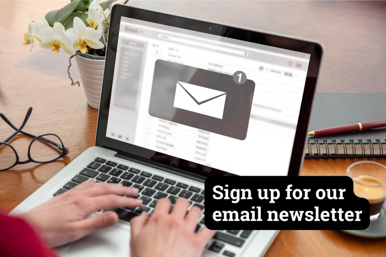 Email newsletter