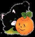 Halloween pumpkin kitten