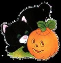 Halloween pumpkin kitten