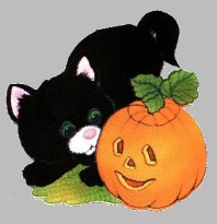 Halloween pumpkin kitten