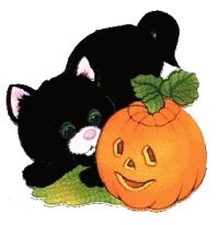 Halloween pumpkin kitten