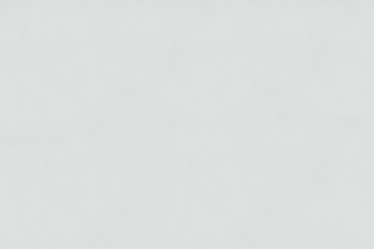 Grey Header
