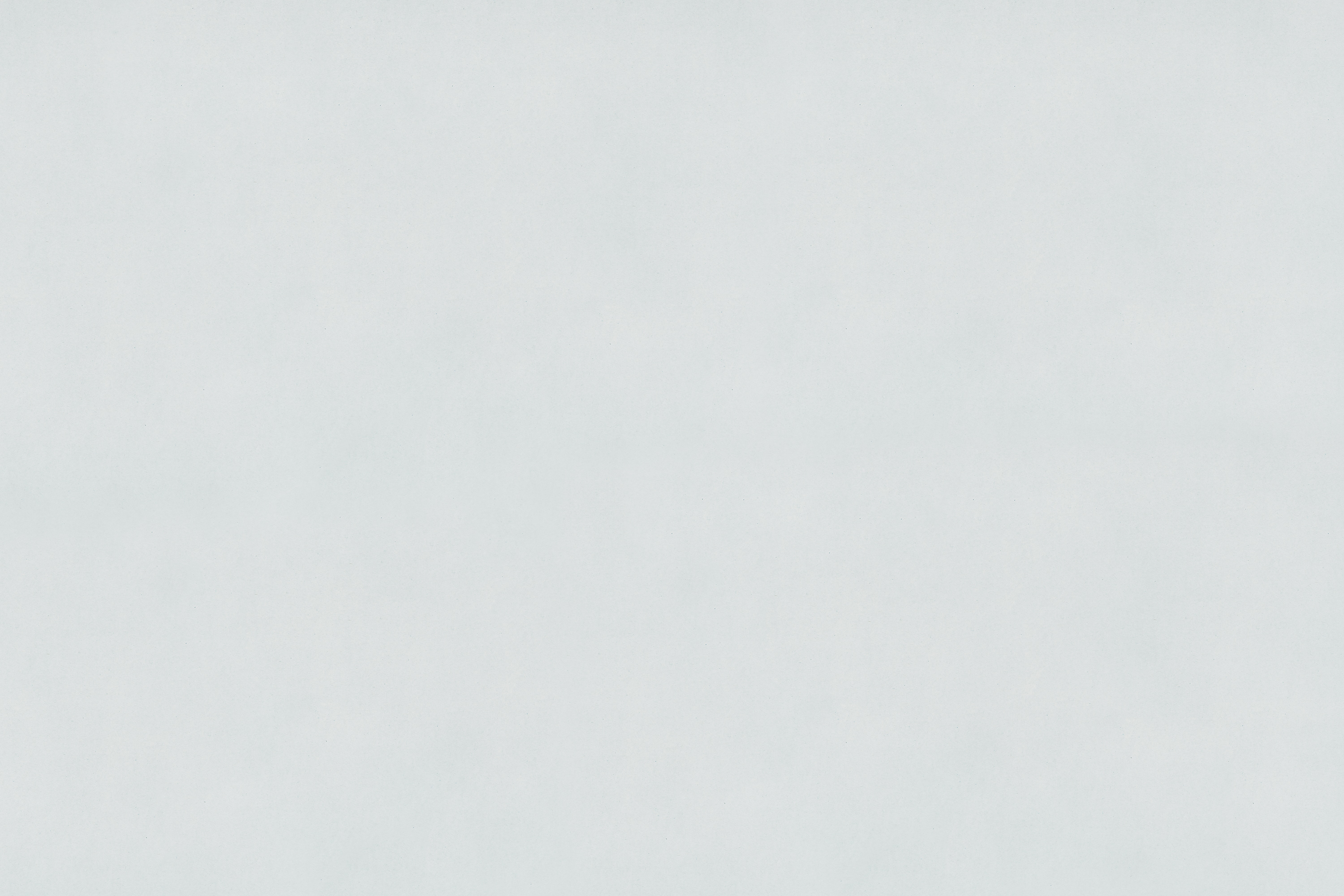 Grey Header