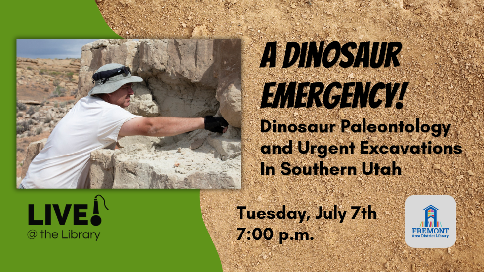 Dinosaur Emergency slide