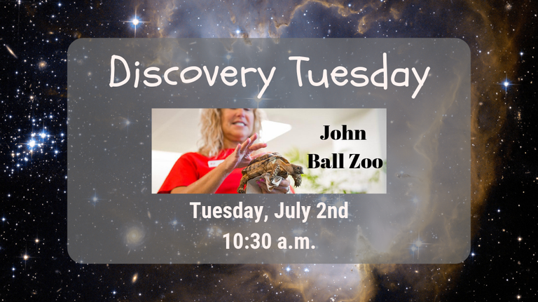 John Ball Zoo slide