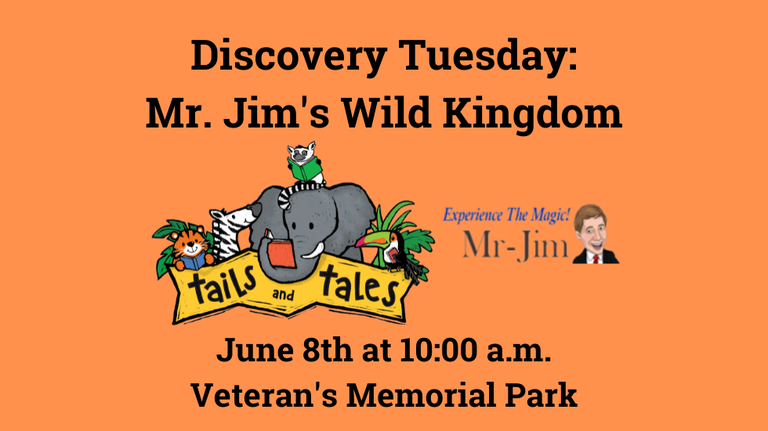 Discovery Tuesday Mr. Jim slide