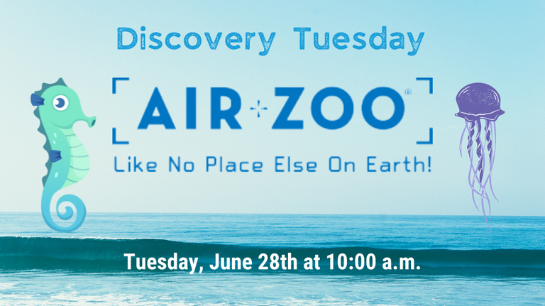 Air Zoo 2022 slide