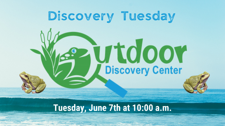 Outdoor Discovery 2022 slide