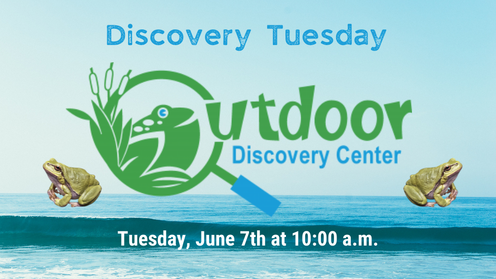 Outdoor Discovery 2022 slide